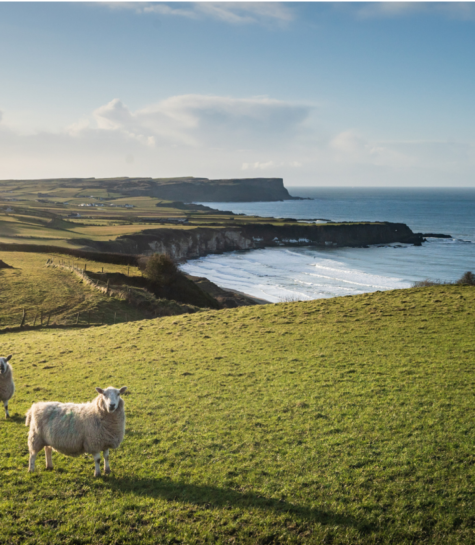 Irland